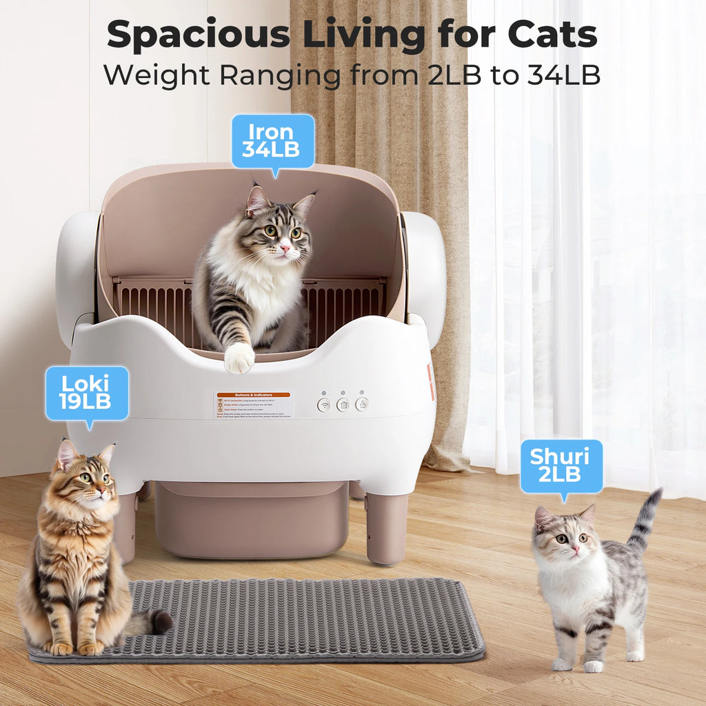 LumiLoo™ – Smart Litter Box