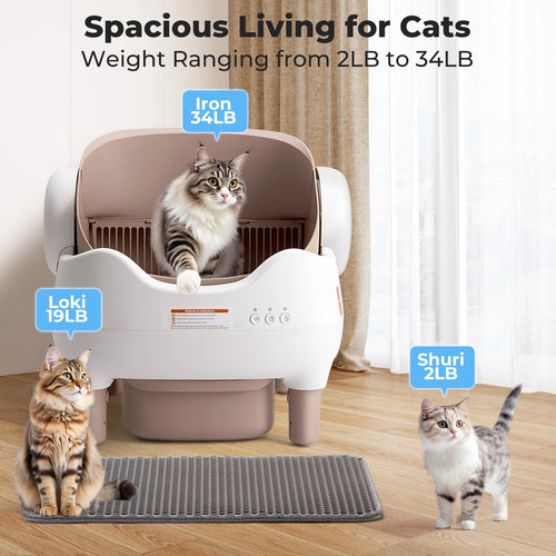 LumiLoo™ – Smart Litter Box